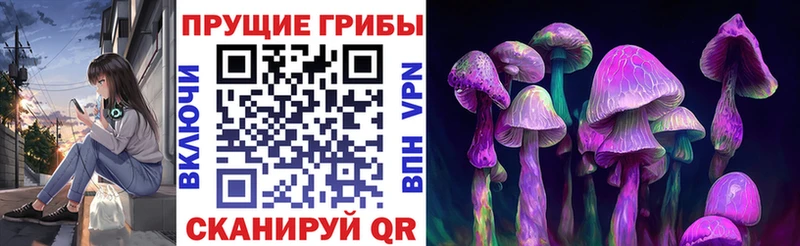 Галлюциногенные грибы Magic Shrooms  Камызяк 